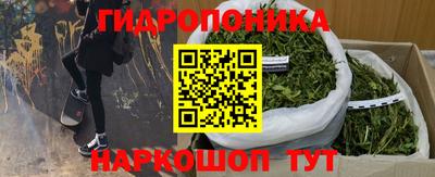 винт Камышлов