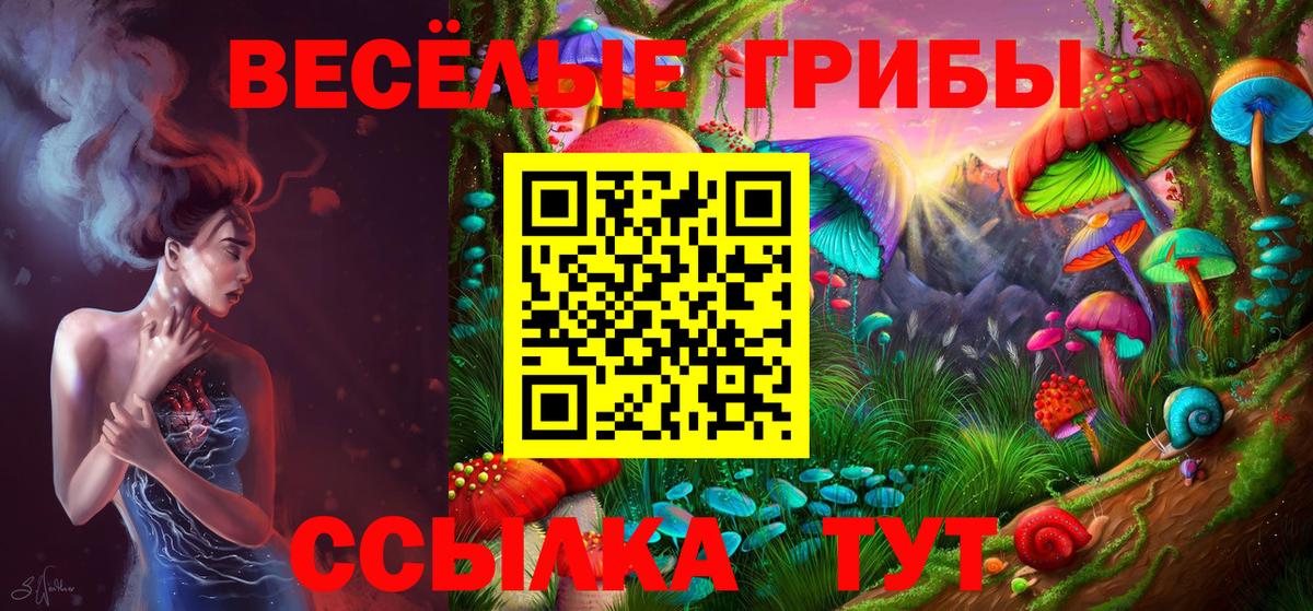 Галлюциногенные грибы Magic Shrooms  Псилоцибиновые грибы MAGIC MUSHROOMS  Красноуфимск  купить наркотик  Вход с VPN 