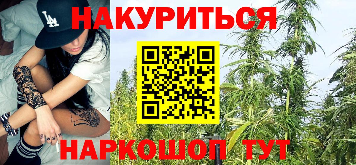 Шишки марихуана планчик  Вход с VPN  Шишки марихуана THC 21%  Красноуфимск  Конопля марихуана 